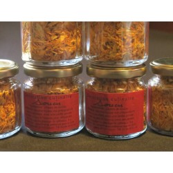 Fleurs de souci nature 